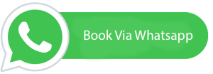 whatsapp button